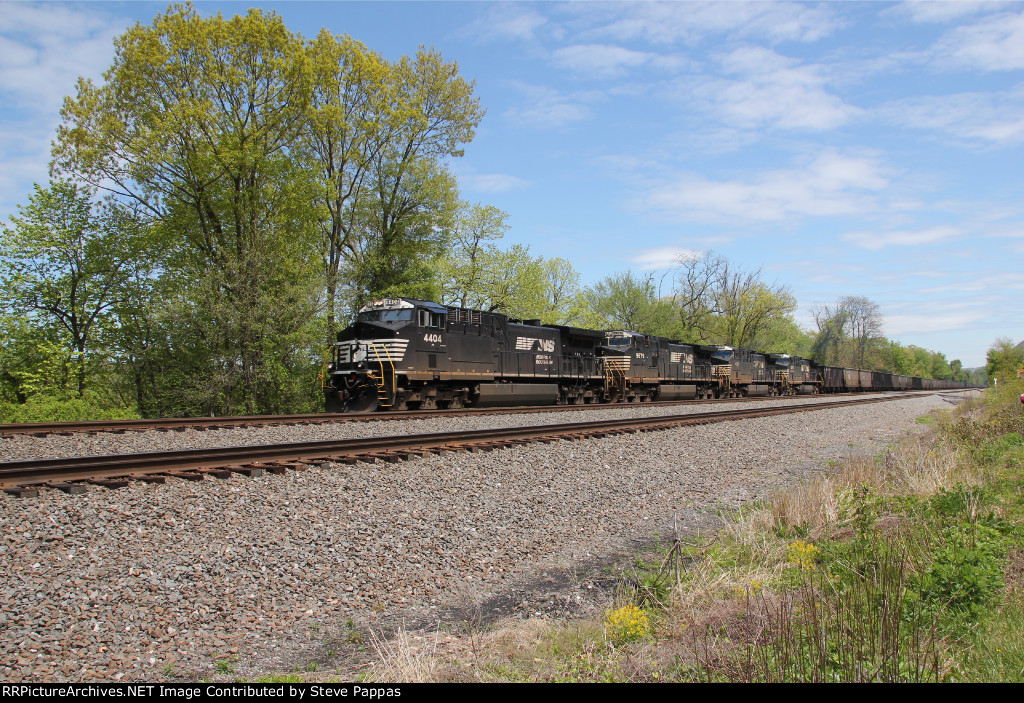 NS 4404 leads train 593, a string of coal empties